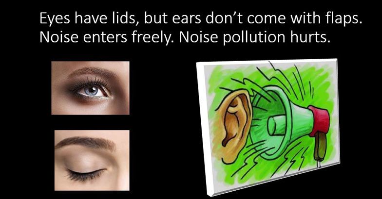 horn-2.jpg.image.784.410