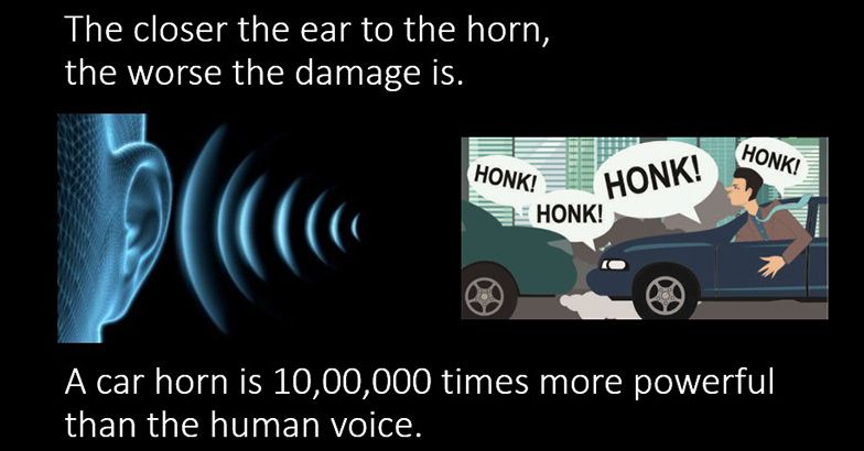 horn-7.jpg.image.784.410